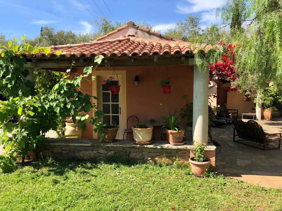 Domaine Le Clos Des Oliviers Sorbo-Ocagnano Екстер'єр фото