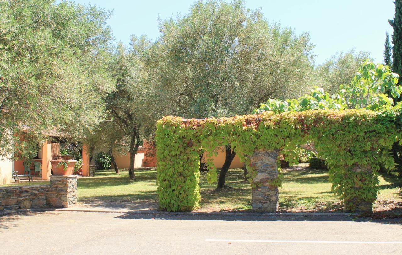 Domaine Le Clos Des Oliviers Sorbo-Ocagnano Екстер'єр фото