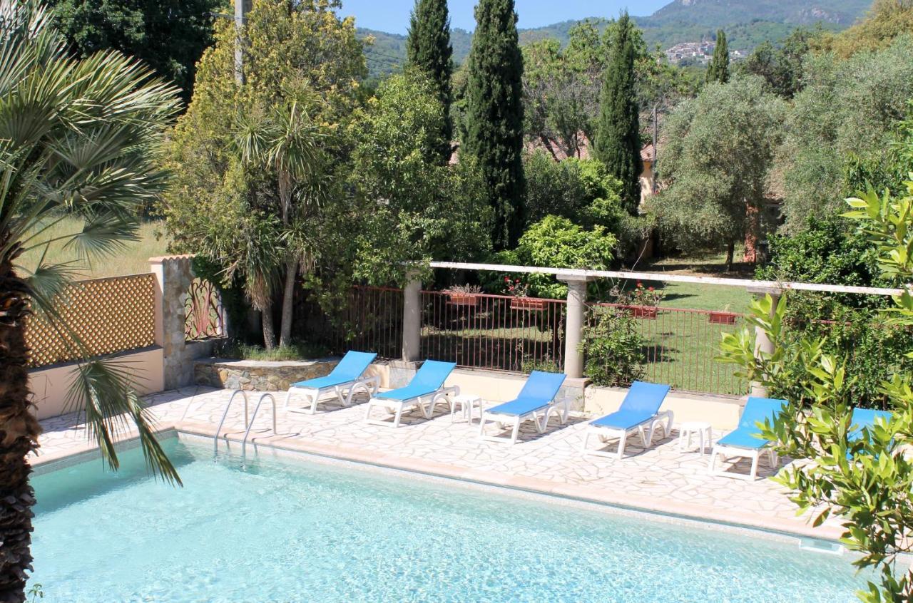 Domaine Le Clos Des Oliviers Sorbo-Ocagnano Екстер'єр фото