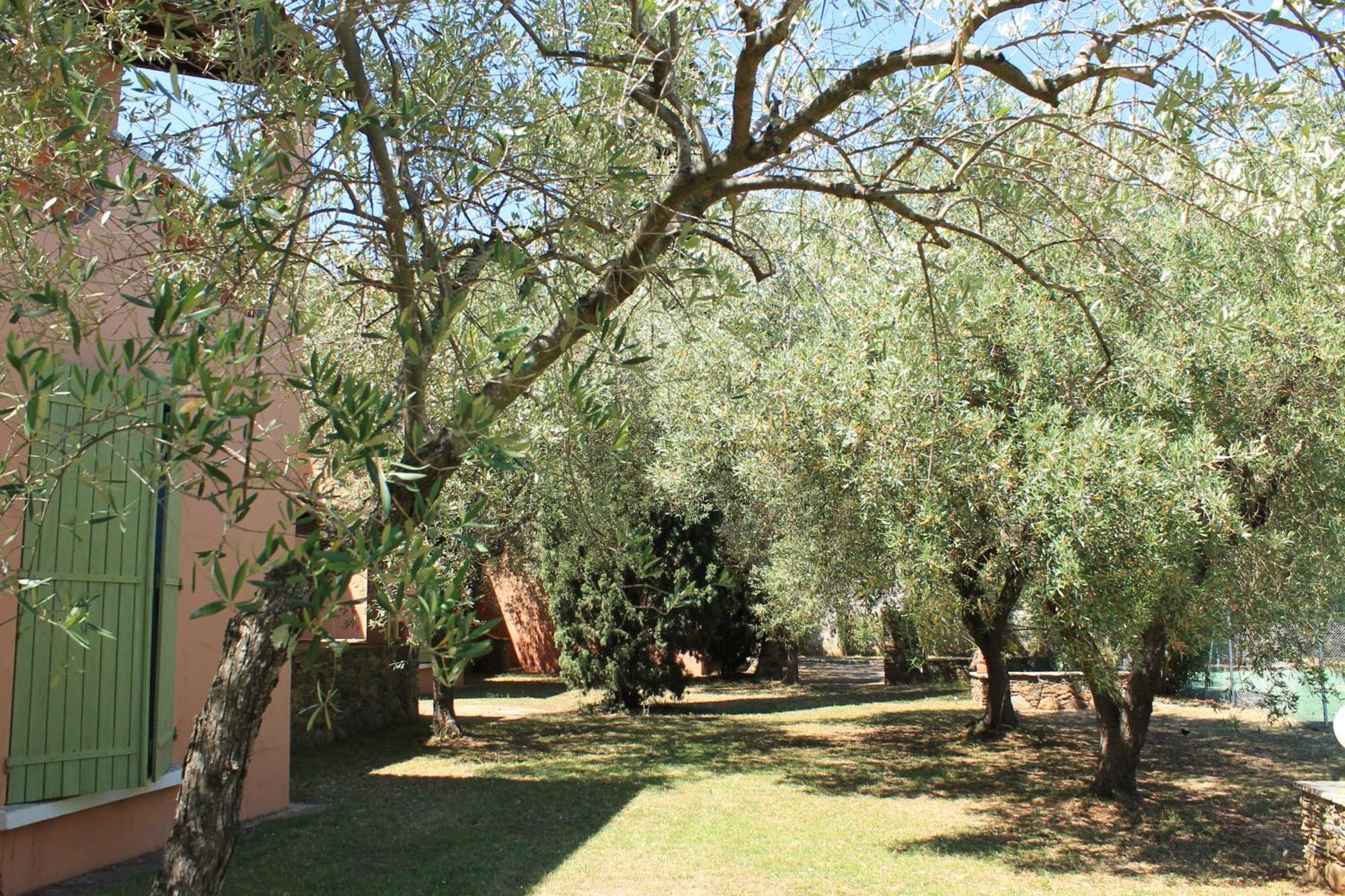 Domaine Le Clos Des Oliviers Sorbo-Ocagnano Екстер'єр фото